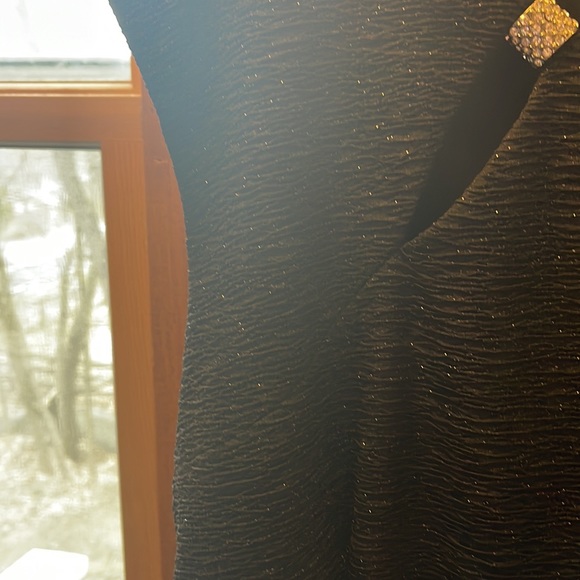 Floor length gown worn 1 time - Picture 3 of 5